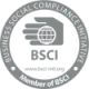 BSCI